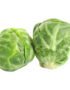 Brussels Sprout