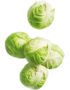 Brussels Sprout Holland