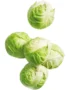 Brussels Sprout Holland