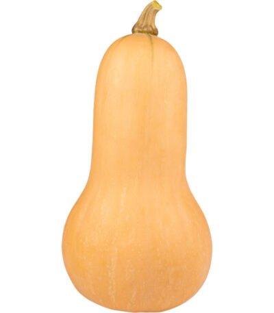 Butternut Pumpkin
