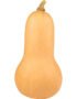 Butternut Pumpkin