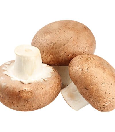 Button Mushroom Brown
