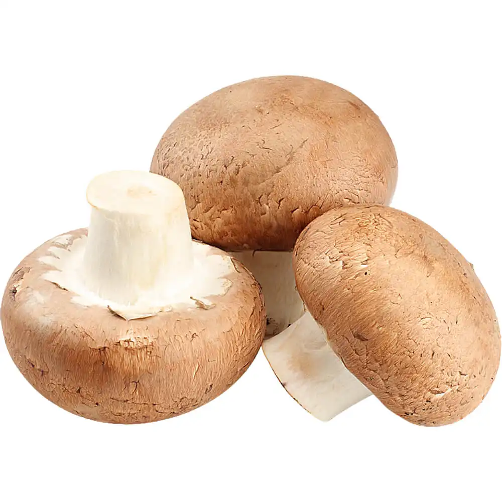 Button Mushroom Brown