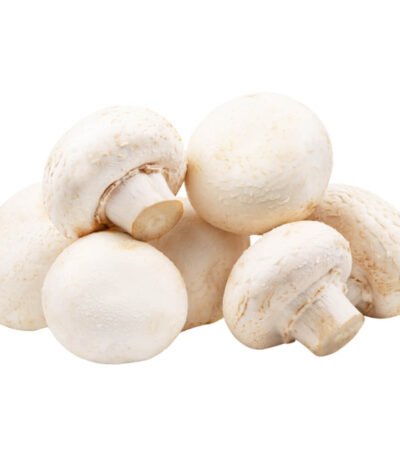 Button Mushroom White