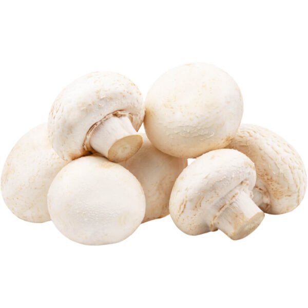 Button Mushroom White