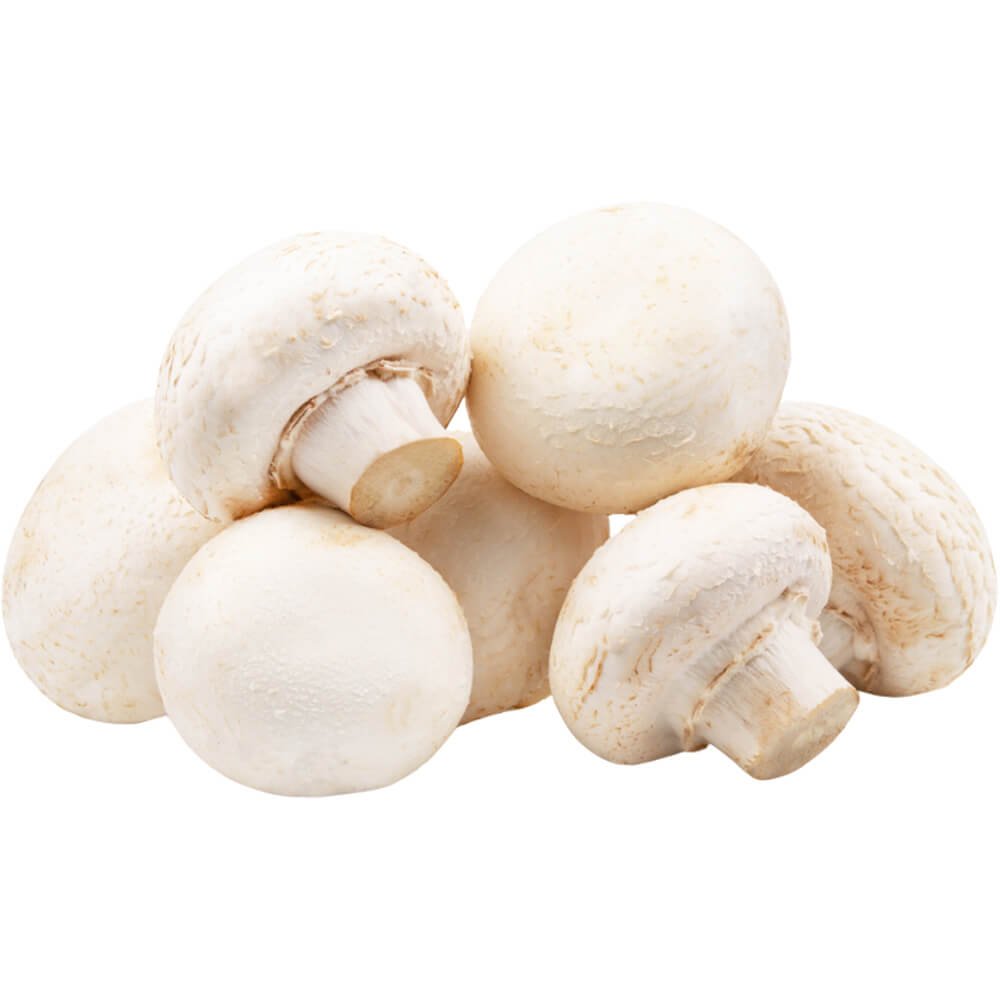 Button Mushroom White