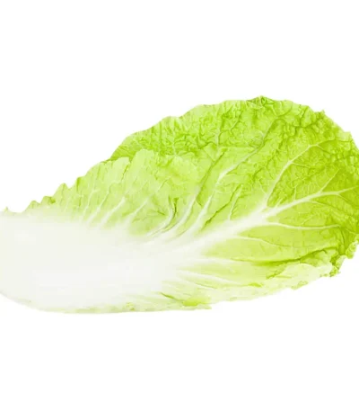 Cabbage Chinese Leaf Sanitized