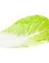 Cabbage Chinese Leaf Sanitized