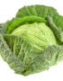 Cabbage Savoy Holland