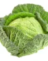 Cabbage Savoy Holland