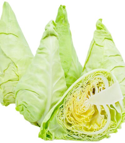 Cabbage Spring Holland
