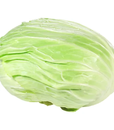 Cabbage White Flat