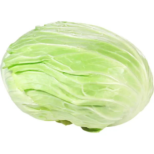 Cabbage White Flat