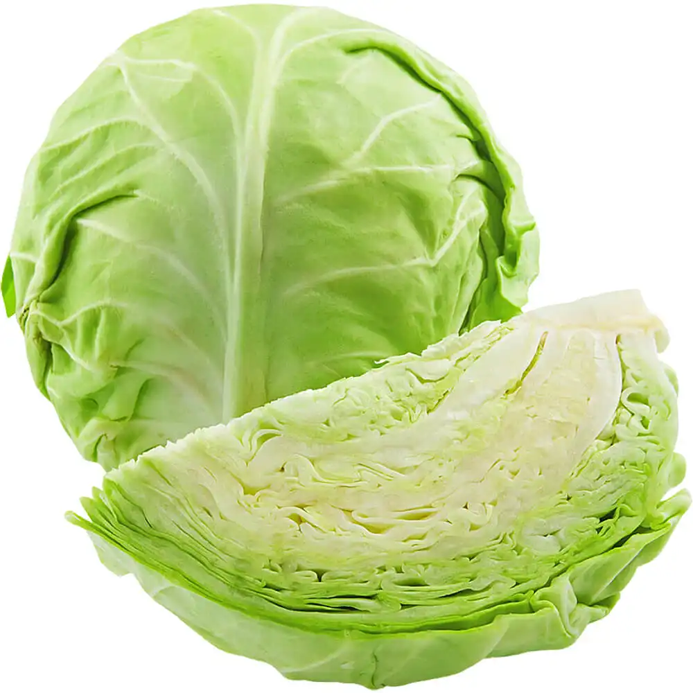 Cabbage White Organic Cabbage White Organic
