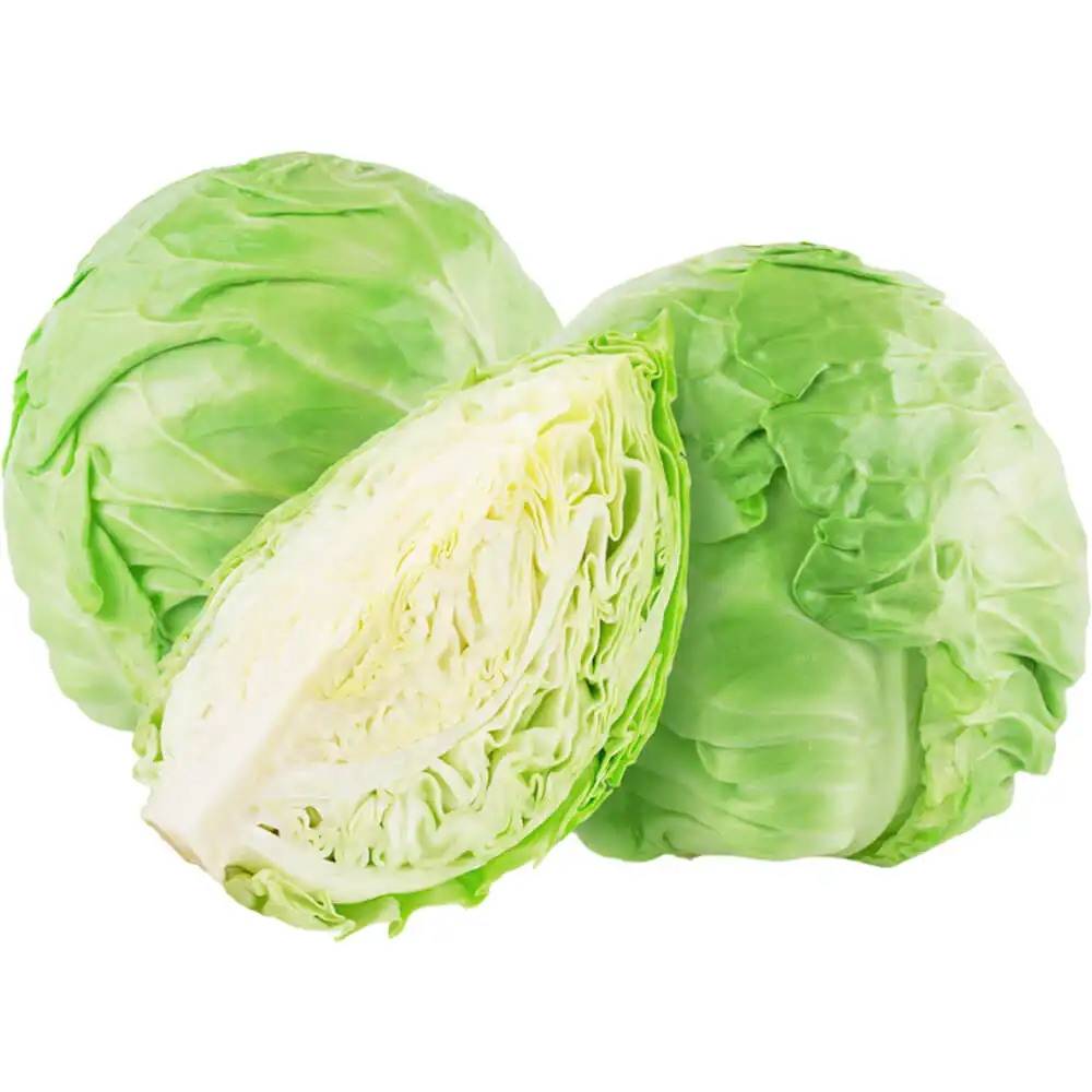 Cabbage White Cabbage White