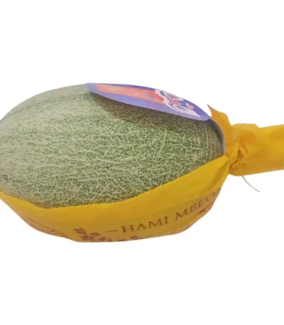 Cantaloupe Melon