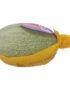Cantaloupe Melon