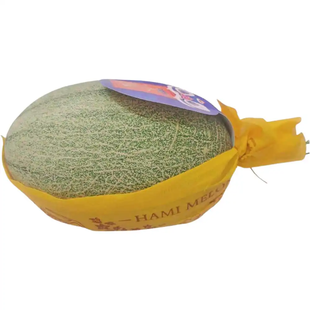 Cantaloupe Melon Cantaloupe Melon