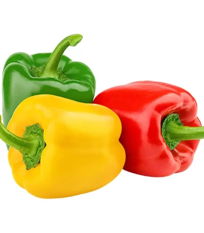 Capsicum (1 Color Each)