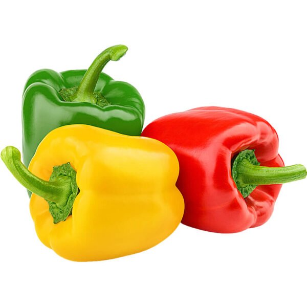 Capsicum (1 Color Each)