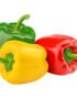 Capsicum (1 Color Each)