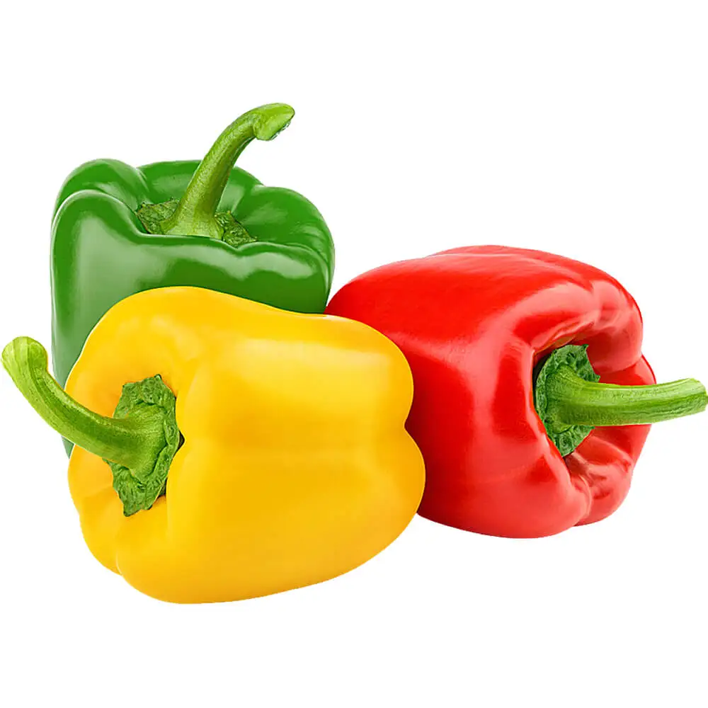 Capsicum (1 Color Each) Capsicum (1 Color Each)