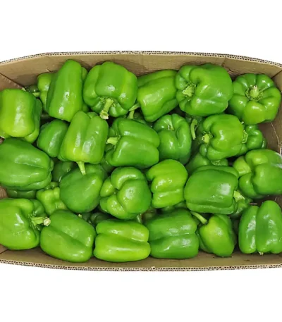 Capsicum Green Box