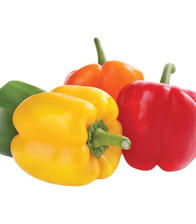 Capsicum Mix Netherlands