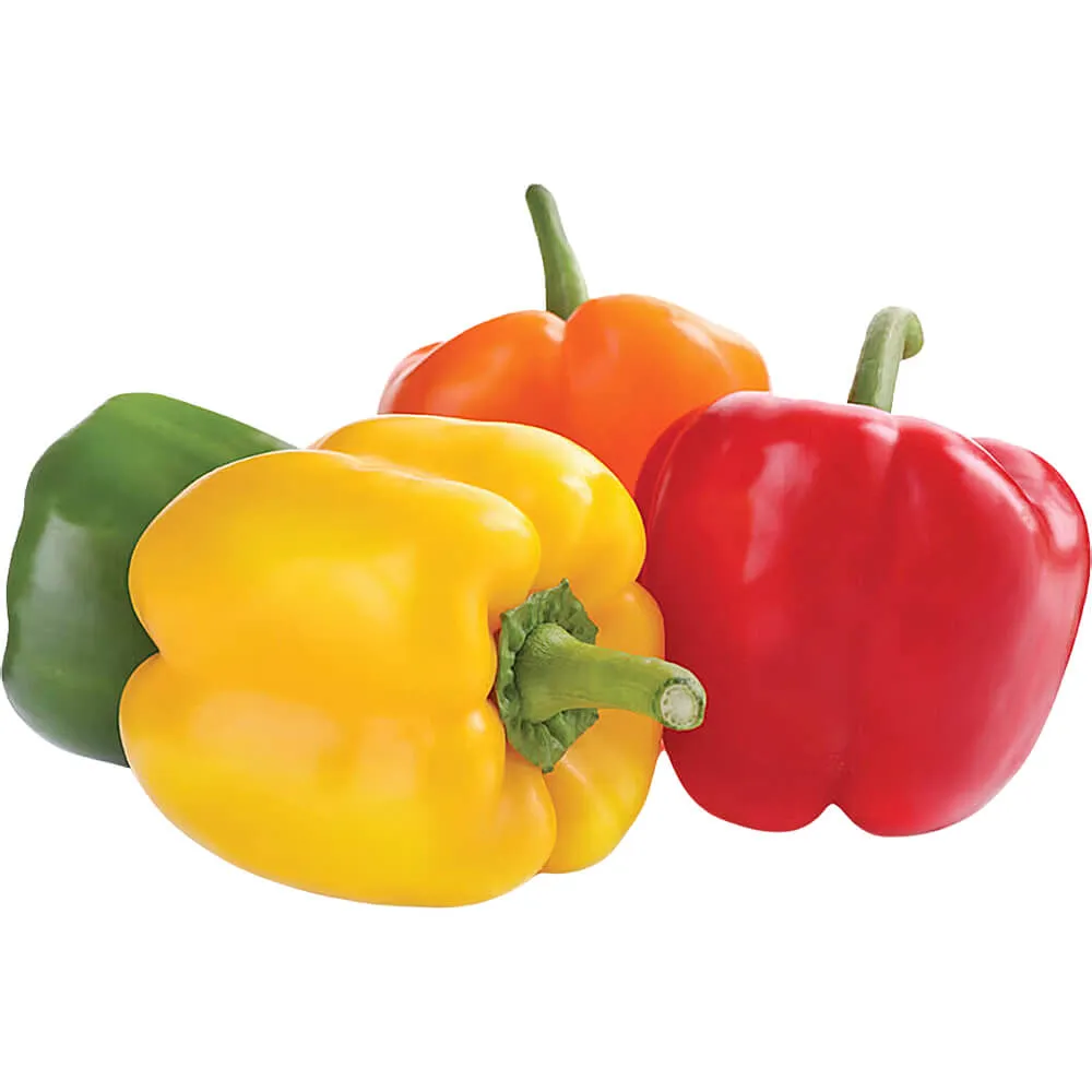 Capsicum Mix Netherlands Capsicum Mix Netherlands