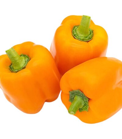 Capsicum Orange Holland