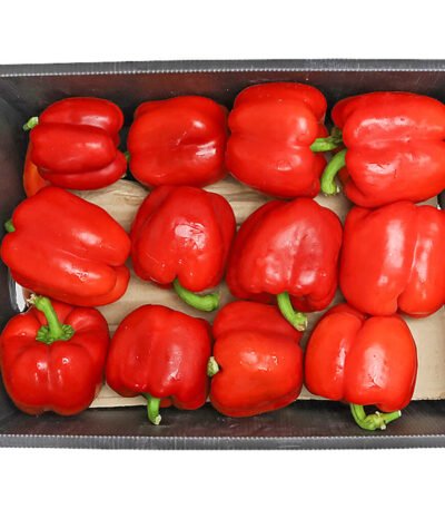 Capsicum Red Box