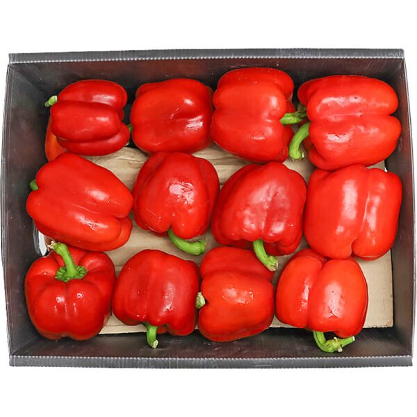 Capsicum Red Box