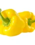Capsicum Yellow
