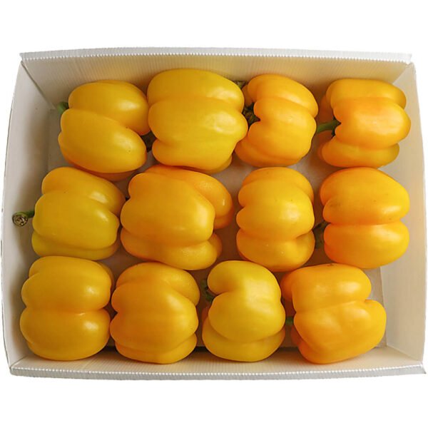 Capsicum Yellow Box