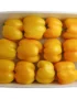 Capsicum Yellow Box