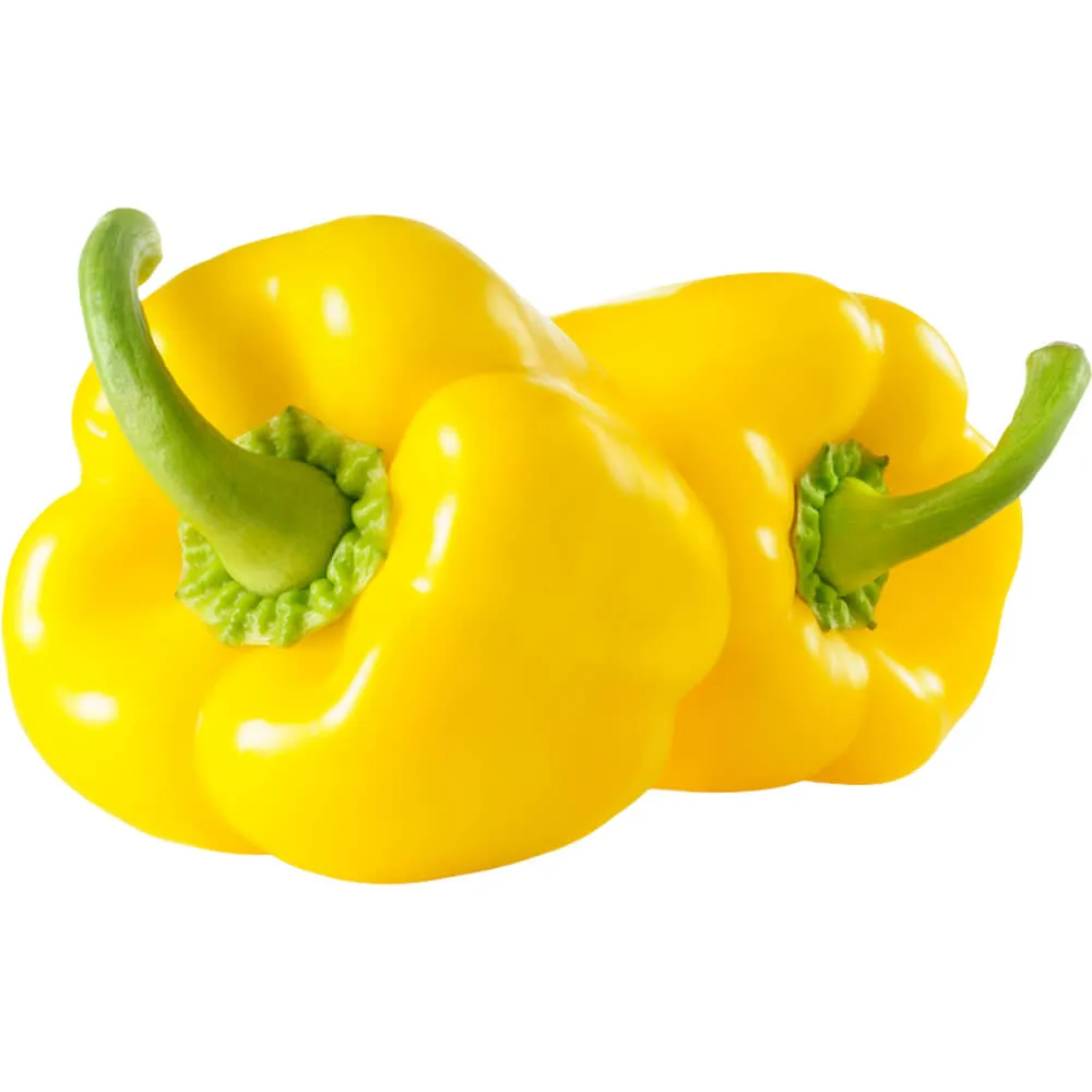 Capsicum Yellow Capsicum Yellow
