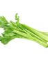 Celery