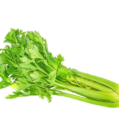 Celery China