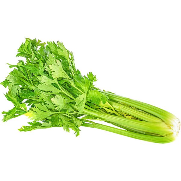 Celery China