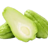 Chayote