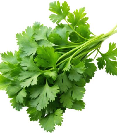 Chervil