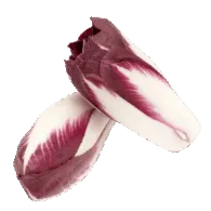 Chicory Red