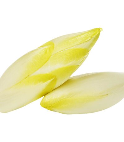 Chicory White
