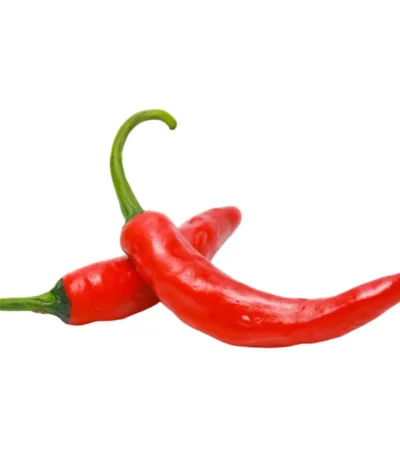 Chili Red Bird Eye