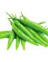 Chilli Green India