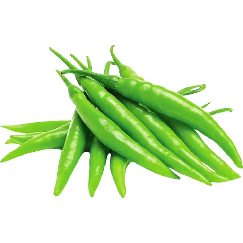 Chilli Green India Chilli Green India