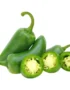Chilli Jalapeno Green Holland