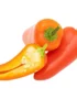 Chilli Jalapeno Red Holland
