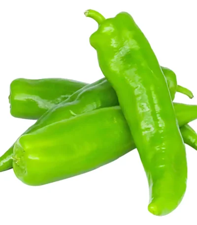 Chilli Long Flat