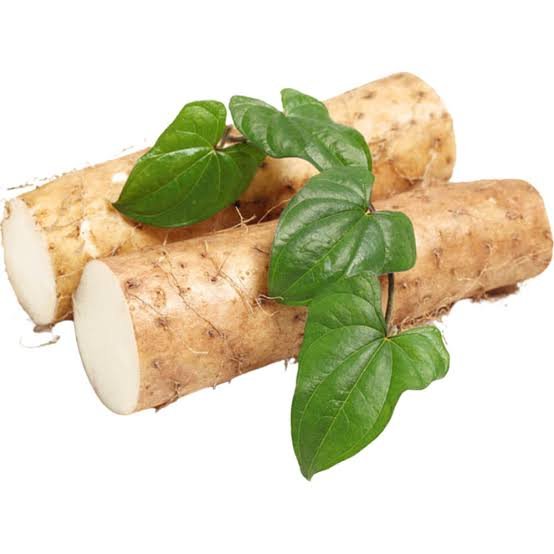 Chinese Yam